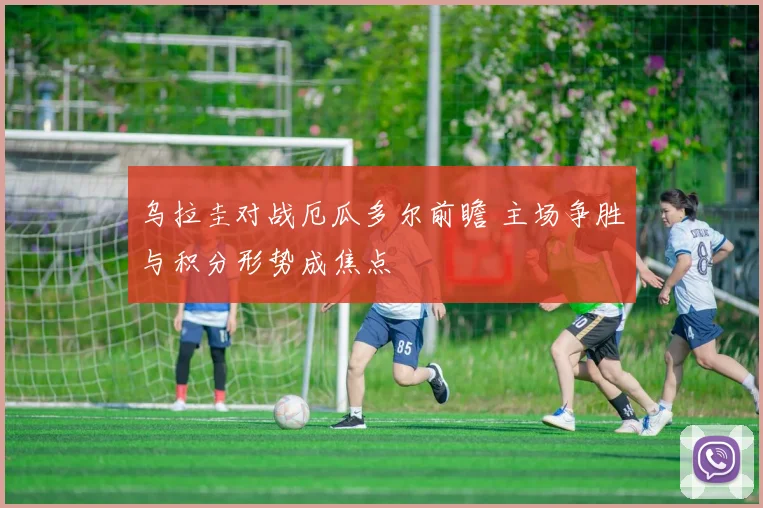 乌拉圭对战厄瓜多尔前瞻 主场争胜与积分形势成焦点
