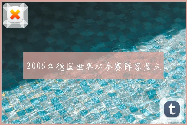 2006年德国世界杯参赛阵容盘点
