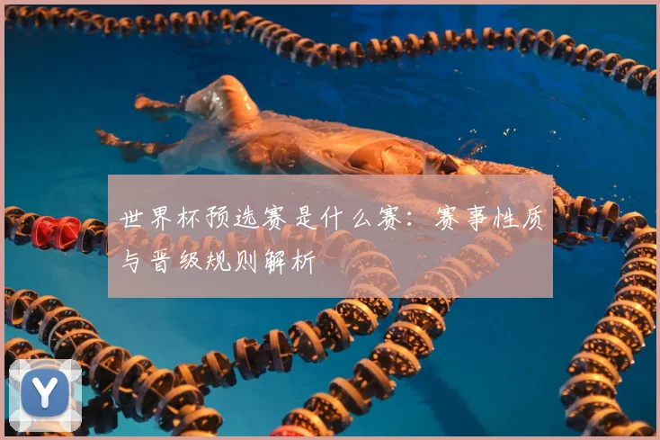 世界杯预选赛是什么赛:赛事性质与晋级规则解析
