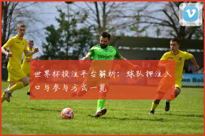 世界杯投注平台解析:球队押注入口与参与方式一览