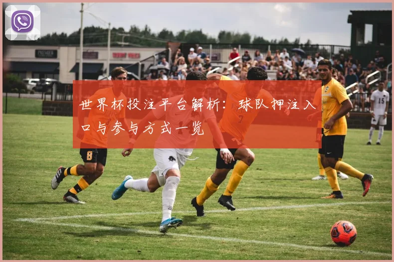 世界杯投注平台解析:球队押注入口与参与方式一览
