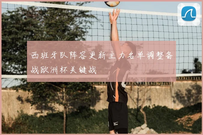 西班牙队阵容更新主力名单调整备战欧洲杯关键战