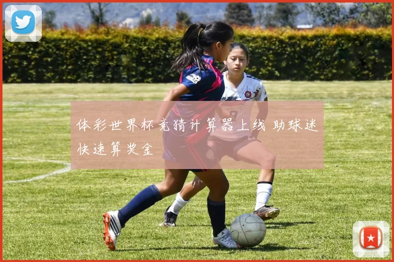 体彩世界杯竞猜计算器上线 助球迷快速算奖金