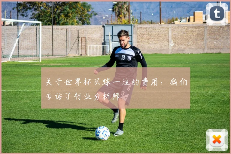 关于世界杯买球一注的费用，我们专访了行业分析师