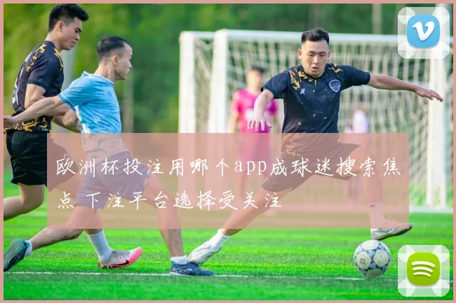 欧洲杯投注用哪个app成球迷搜索焦点 下注平台选择受关注