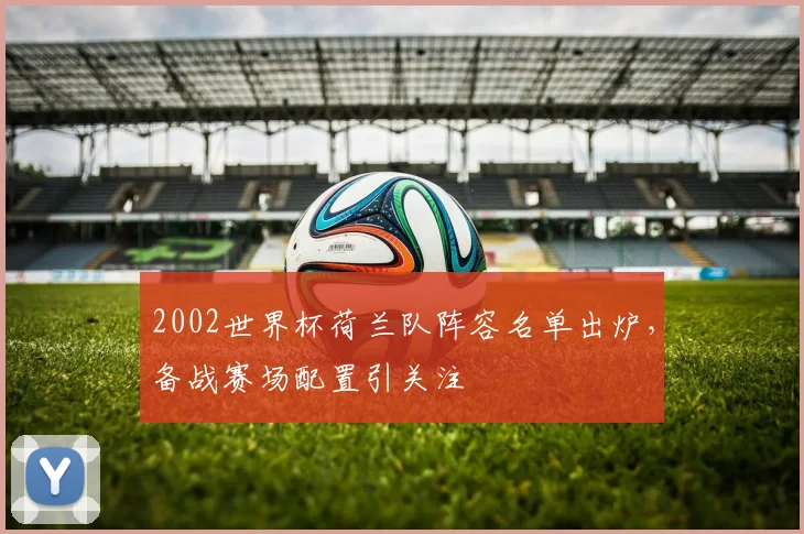 2002世界杯荷兰队阵容名单出炉，备战赛场配置引关注